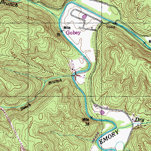 Topographic Map of Beech Branch, TN