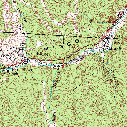 Topographic Map of Beech Branch, TN