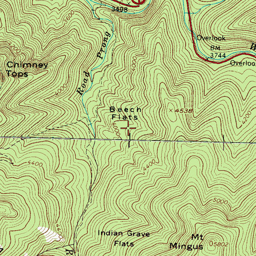 Topographic Map of Beech Flats, TN