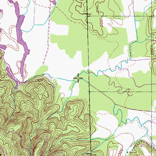 Topographic Map of Beech Fork, TN