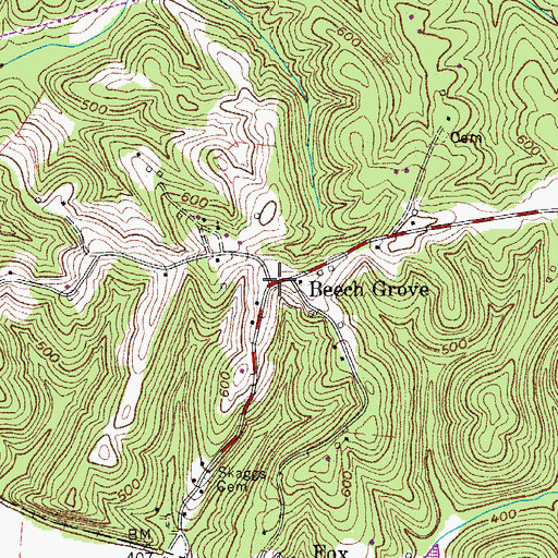 Topographic Map of Beech Grove, TN