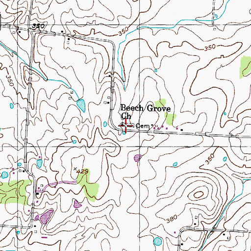Topographic Map of Beech Grove Church, TN