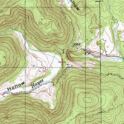 Topographic Map of Beech Hollow, TN
