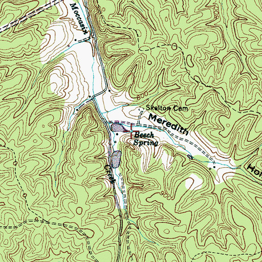 Topographic Map of Beech Spring, TN
