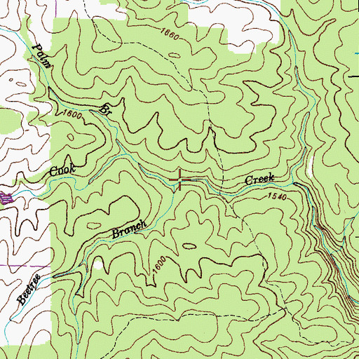 Topographic Map of Beetree Branch, TN