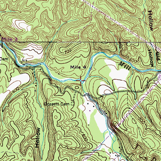 Topographic Map of Bell Branch, TN