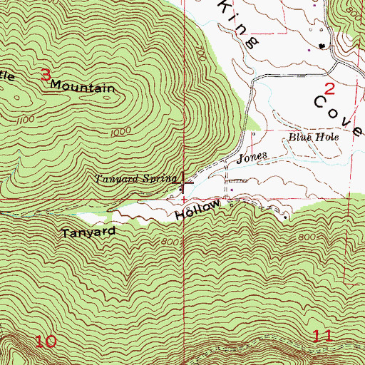 Topographic Map of Tanyard Spring, AL