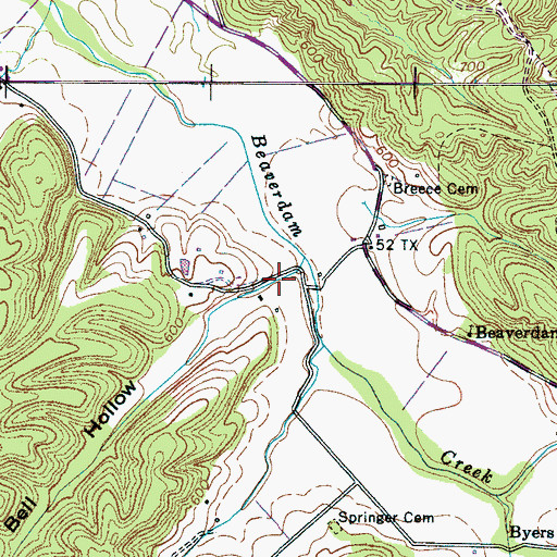 Topographic Map of Bell Hollow, TN