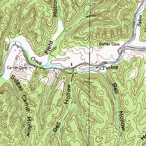 Topographic Map of Bell Hollow, TN