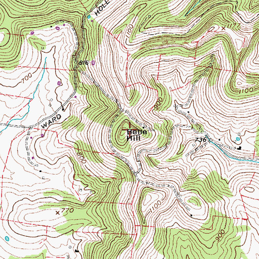 Topographic Map of Belle Hill, TN