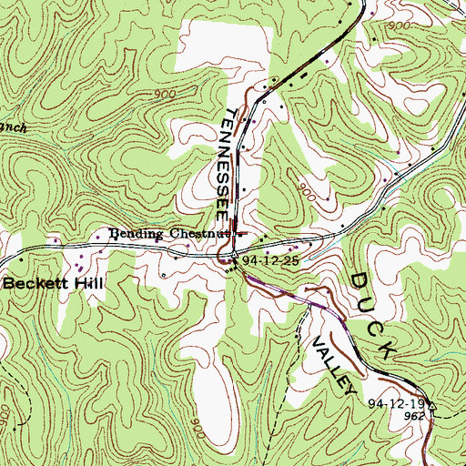 Topographic Map of Bending Chestnut, TN