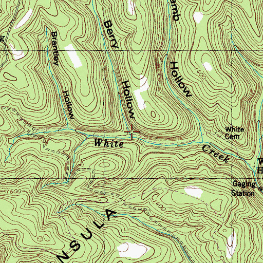 Topographic Map of Berry Hollow, TN