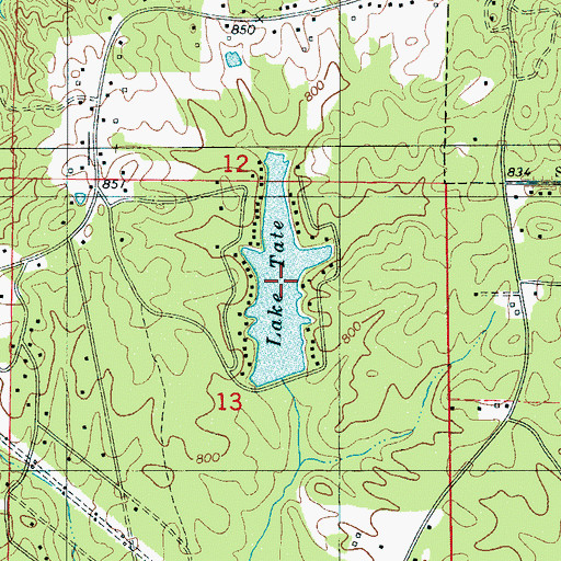 Topographic Map of Lake Tate, AL