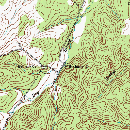 Topographic Map of Bethany Church, TN