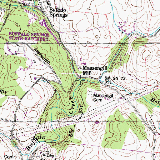 Topographic Map of Bethel Branch, TN