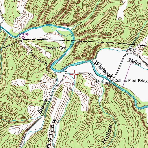 Topographic Map of Betsy Hollow, TN