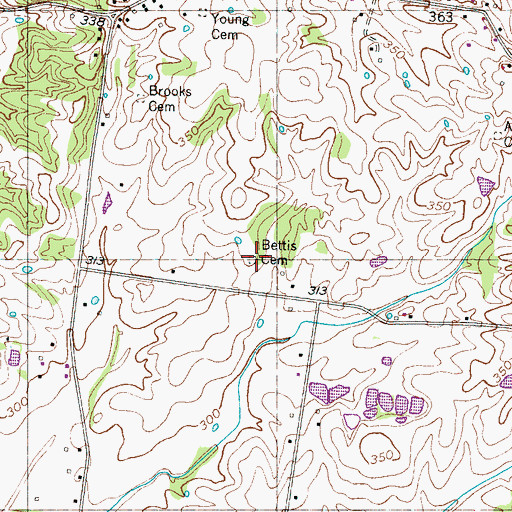 Topographic Map of Bettis Cemetery, TN