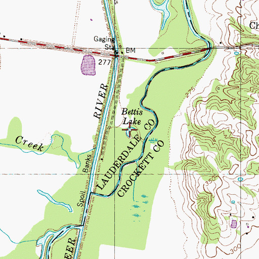 Topographic Map of Bettis Lake, TN