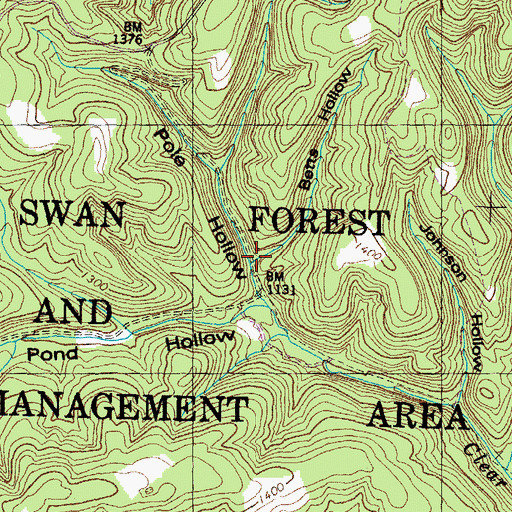 Topographic Map of Betts Hollow, TN
