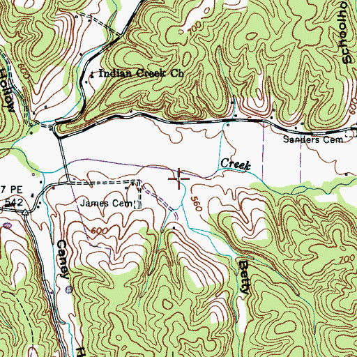 Topographic Map of Betty Hollow, TN
