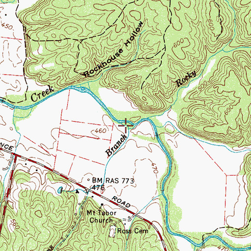 Topographic Map of Bevins Branch, TN