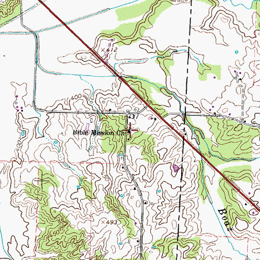 Topographic Map of Bible Mission Church, TN