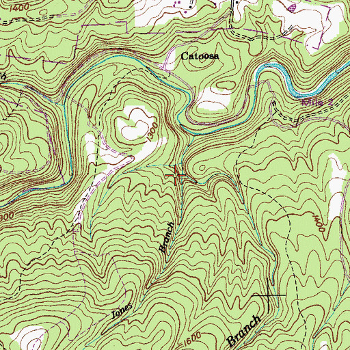 Topographic Map of Big Branch, TN