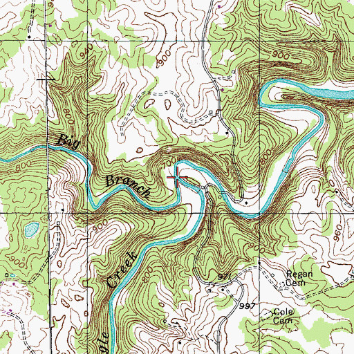 Topographic Map of Big Branch, TN