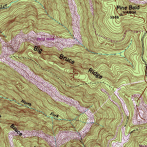 Topographic Map of Big Bruce Ridge, TN