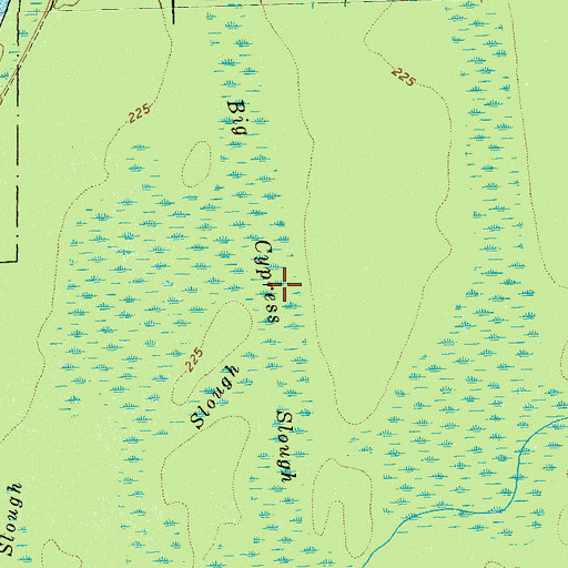 Topographic Map of Big Cypress Slough, TN