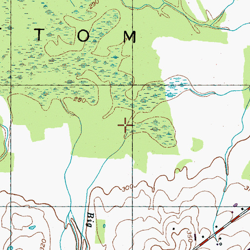 Topographic Map of Big Ditch Branch, TN