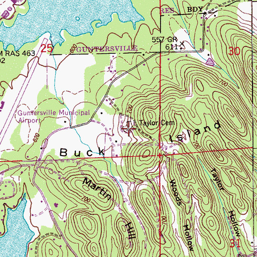 Topographic Map of Taylor Cemetery, AL