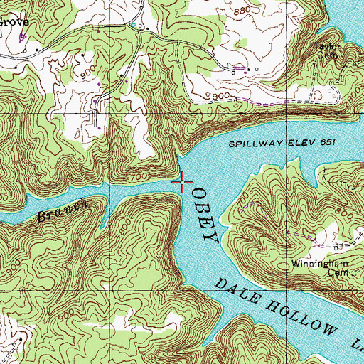 Topographic Map of Big Hollow Branch, TN