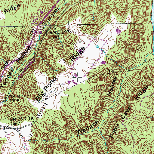 Topographic Map of Big Pond Ridge, TN