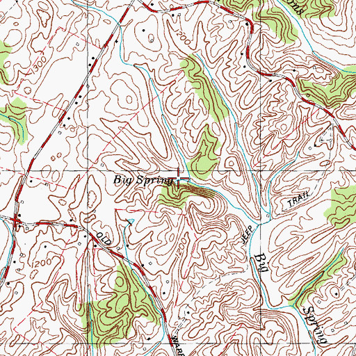 Topographic Map of Big Spring, TN
