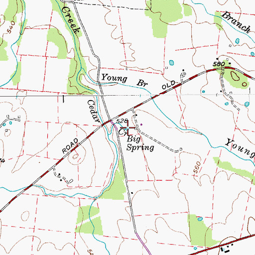 Topographic Map of Big Spring, TN
