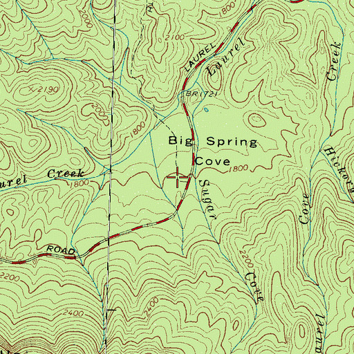 Topographic Map of Big Spring Cove, TN