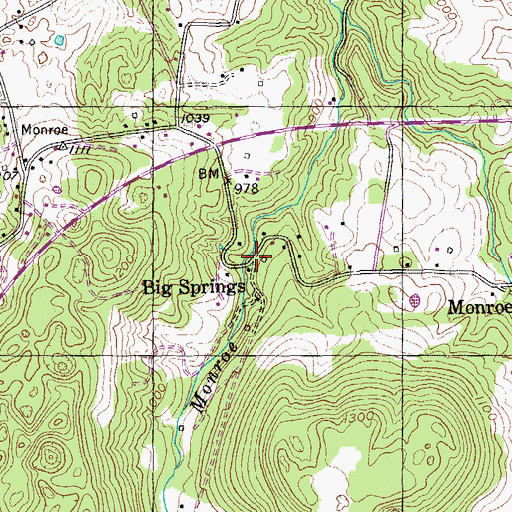 Topographic Map of Big Springs, TN