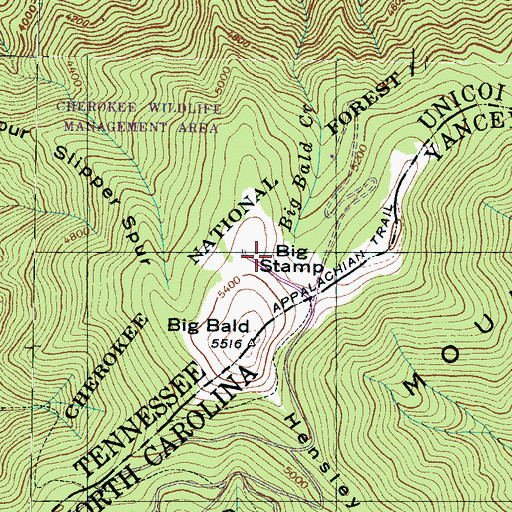 Topographic Map of Big Stamp, TN