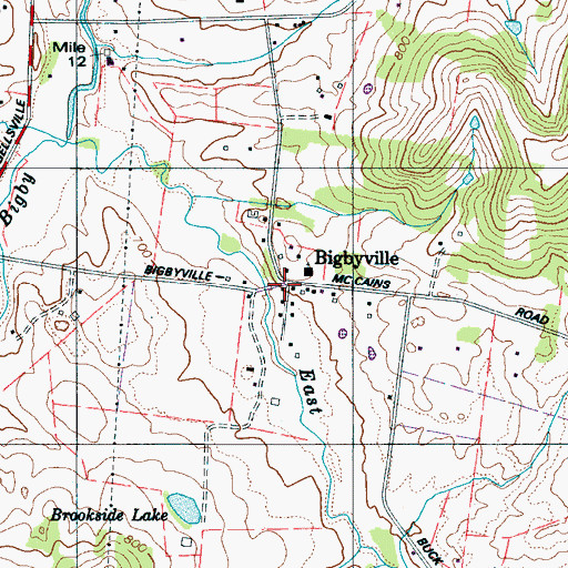 Topographic Map of Bigbyville, TN