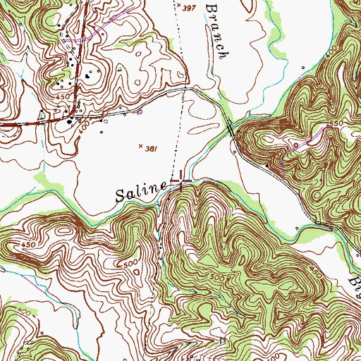 Topographic Map of Biggs Branch, TN