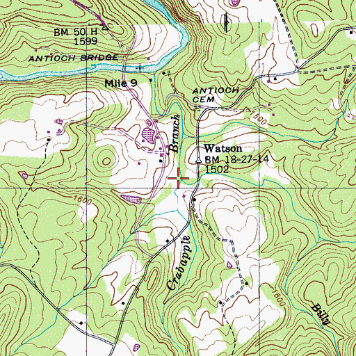 Topographic Map of Billy Branch, TN