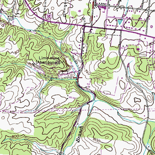 Topographic Map of Billy Richardson Branch, TN