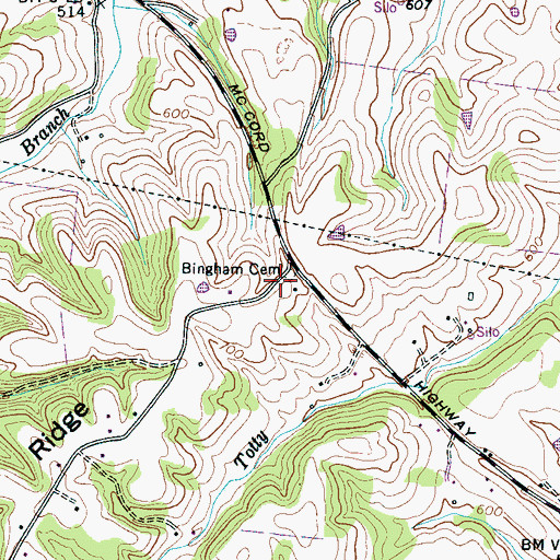 Topographic Map of Bingham Cemetery, TN