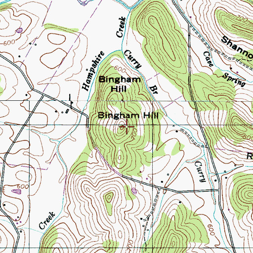 Topographic Map of Bingham Hill, TN