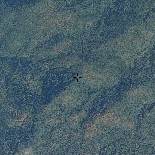 Aerial/Satellite Image of Birchfield Gap, TN