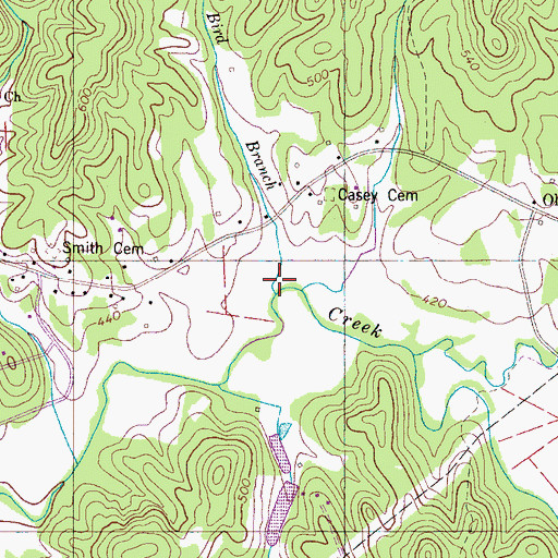 Topographic Map of Bird Branch, TN
