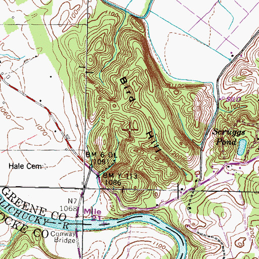 Topographic Map of Bird Hill, TN