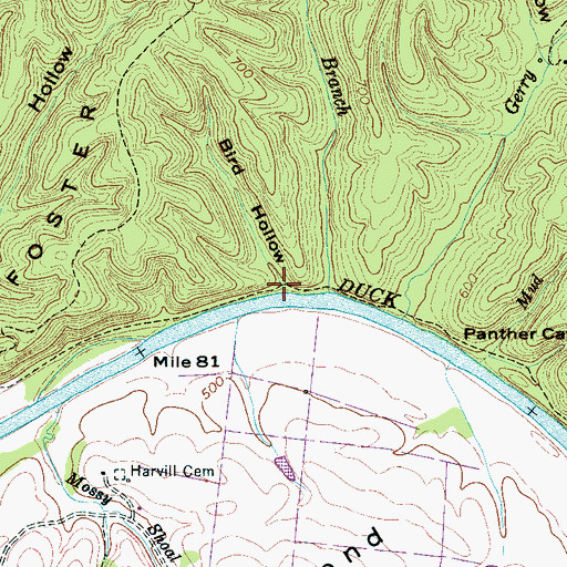 Topographic Map of Bird Hollow, TN