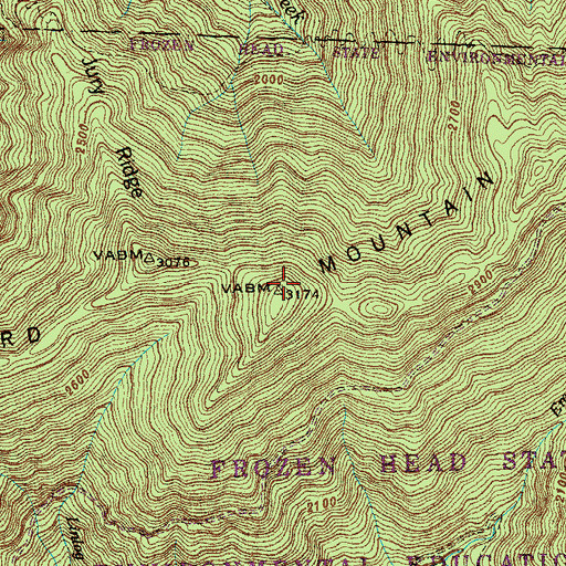 Topographic Map of Bird Mountain, TN
